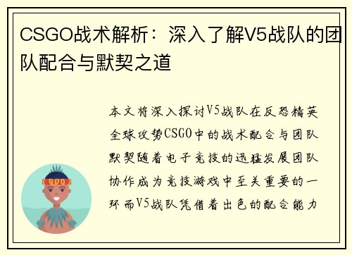 CSGO战术解析：深入了解V5战队的团队配合与默契之道